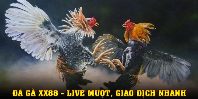 Đá gà xx88